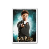 Dragon Shield Sleeves: Standard Matte Art Wizarding World - Harry Potter 100CT