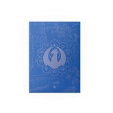 Dragon Shield Sleeves: Standard Matte Dual Art Magic the Gathering Guildpact Series - Izzet League 100CT