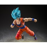 SUPER SAIYAN GOD SUPER SAIYAN SON GOKU [BLUE POWER TRANSCENDING LIMITS] "DRAGON BALL", TAMASHII NATIONS S.H.Figuarts