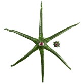 Marvel Legends Series: Gamerverse - Gargantos