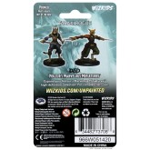 D&D Nolzur's Marvelous Miniatures: Tabaxi Rogue Female