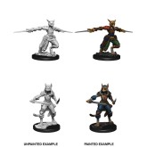 D&D Nolzur's Marvelous Miniatures: Tabaxi Rogue Female