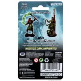 D&D Nolzur's Marvelous Miniatures: Firbolg Druid Female