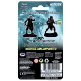 D&D Nolzur's Marvelous Miniatures: Multiclass Fighter + Wizard Male