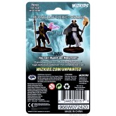 D&D Nolzur's Marvelous Miniatures: Multiclass Cleric + Wizard Male