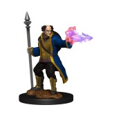 D&D Nolzur's Marvelous Miniatures: Multiclass Cleric + Wizard Male