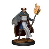 D&D Nolzur's Marvelous Miniatures: Multiclass Cleric + Wizard Male