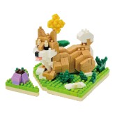 Dogs: Dog Breed (Shiba-Inu) Version 2 - nanoblock Collection Series Box/12