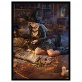 Fantasy North Sleeves: Mini Art Lilibeth's Casual Conjuring 100CT