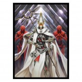 Fantasy North Sleeves: Standard Art Acheus - Machina Prophet 100CT