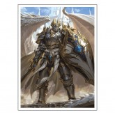 Fantasy North Sleeves: Standard Art William Aldrick - Dragon Knight (Argalon) 100CT