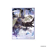 Final Fantasy: Premium Card Sleeve Series - Warrior of Light