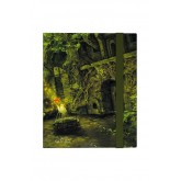 Ultimate Guard 9-Pocket FlexxFolio Lands Edition II Forest