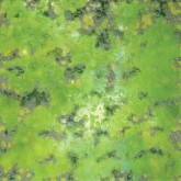 WarLock Tiles: Game Mat-Acid Lagoon