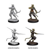 D&D Nolzur's Marvelous Miniatures: Tabaxi Rogue Male