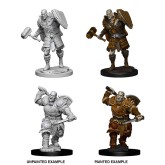 D&D Nolzur's Marvelous Miniatures: Goliath Fighter Male