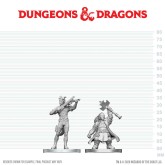 D&D Nolzur's Marvelous Miniatures: Tiefling Bard & Dwarf Cleric