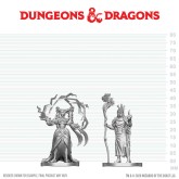 D&D Nolzur's Marvelous Miniatures: Human Druid & Elf Sorcerer