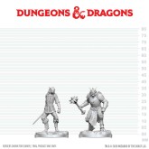 Dungeons & Dragons Nolzur's Marvelous Miniatures: Dragonborn Paladin & Dragonborn Squire